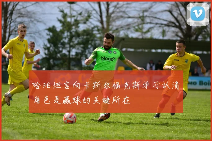 哈珀坦言向卡斯尔福克斯学习认清角色是赢球的关键所在