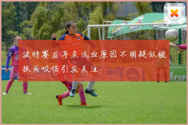 波特赛后耳朵流血原因不明疑似被抓或咬伤引发关注