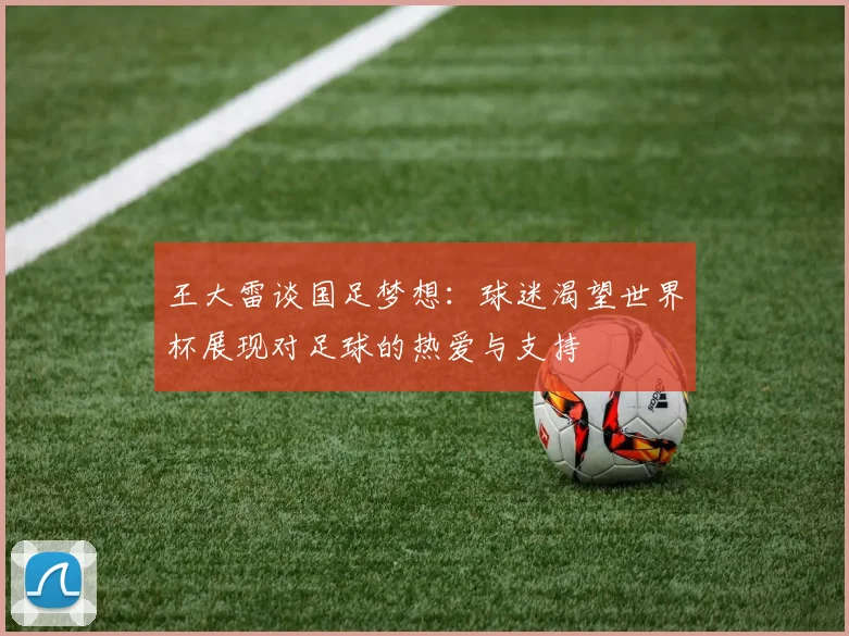 王大雷谈国足梦想：球迷渴望世界杯展现对足球的热爱与支持